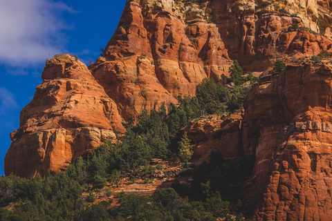 An image depicting the trail Lizard Head Trail and its surrounding area.