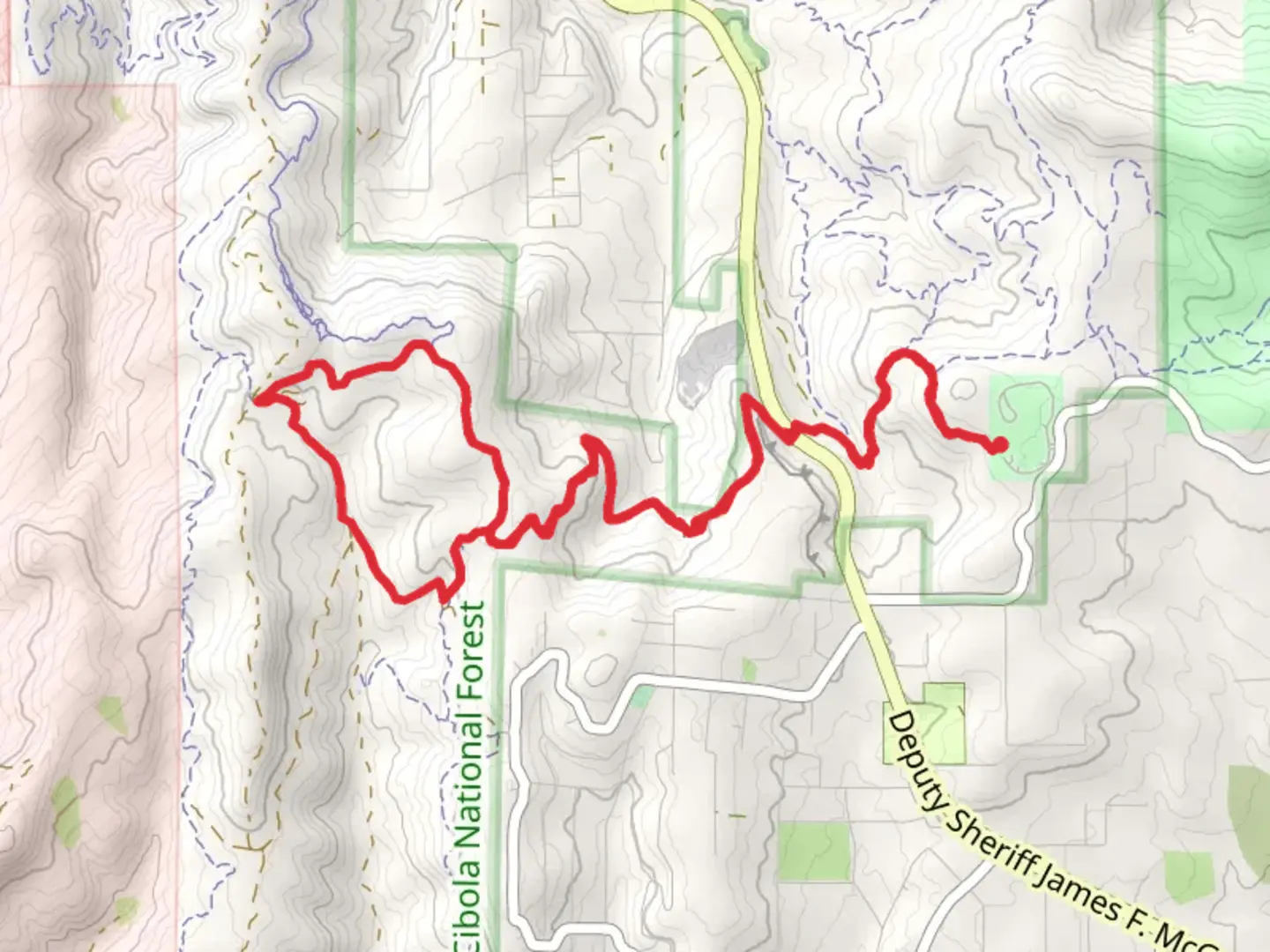 An image depicting the trail Deadman and cajun Pine Loop and its surrounding area.