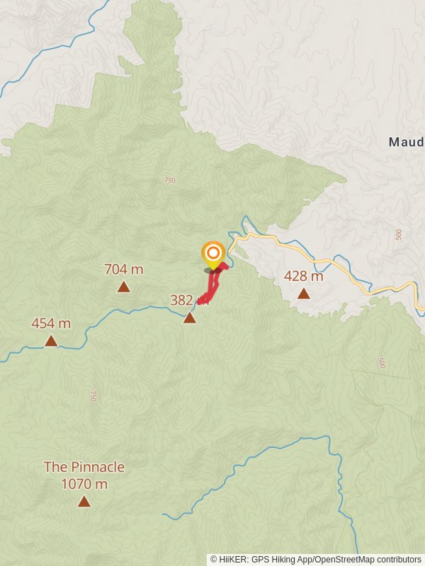 Gloucester River Track