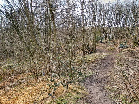 Drink Water Park, River Irwell and Preswich Clough Loop