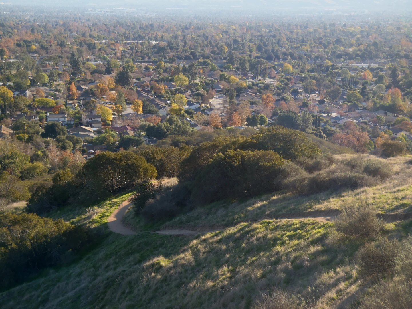 An image depicting the trail Cabol Canyon and Johnson Pasture Loop and its surrounding area.