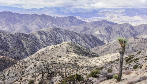 An image depicting the trail Canyon View via Short Loop Trail and its surrounding area.