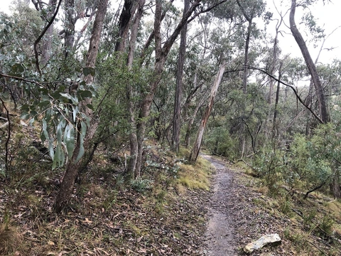 An image depicting the trail Tipperary Twin Bridges Circuit Trail and its surrounding area.