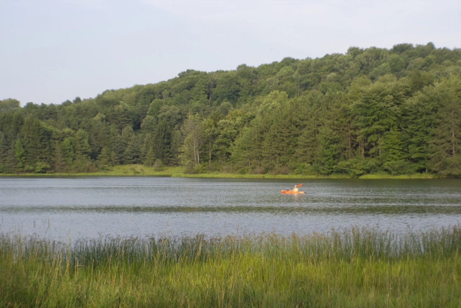 An image depicting the trail Snowflake Trail and St Hollow Trail Loop and its surrounding area.