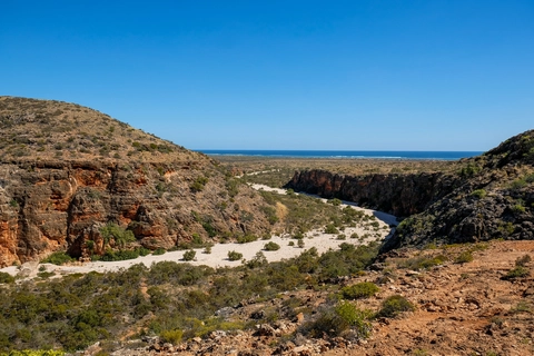 An image depicting the trail Mandu Mandu Walk and its surrounding area.