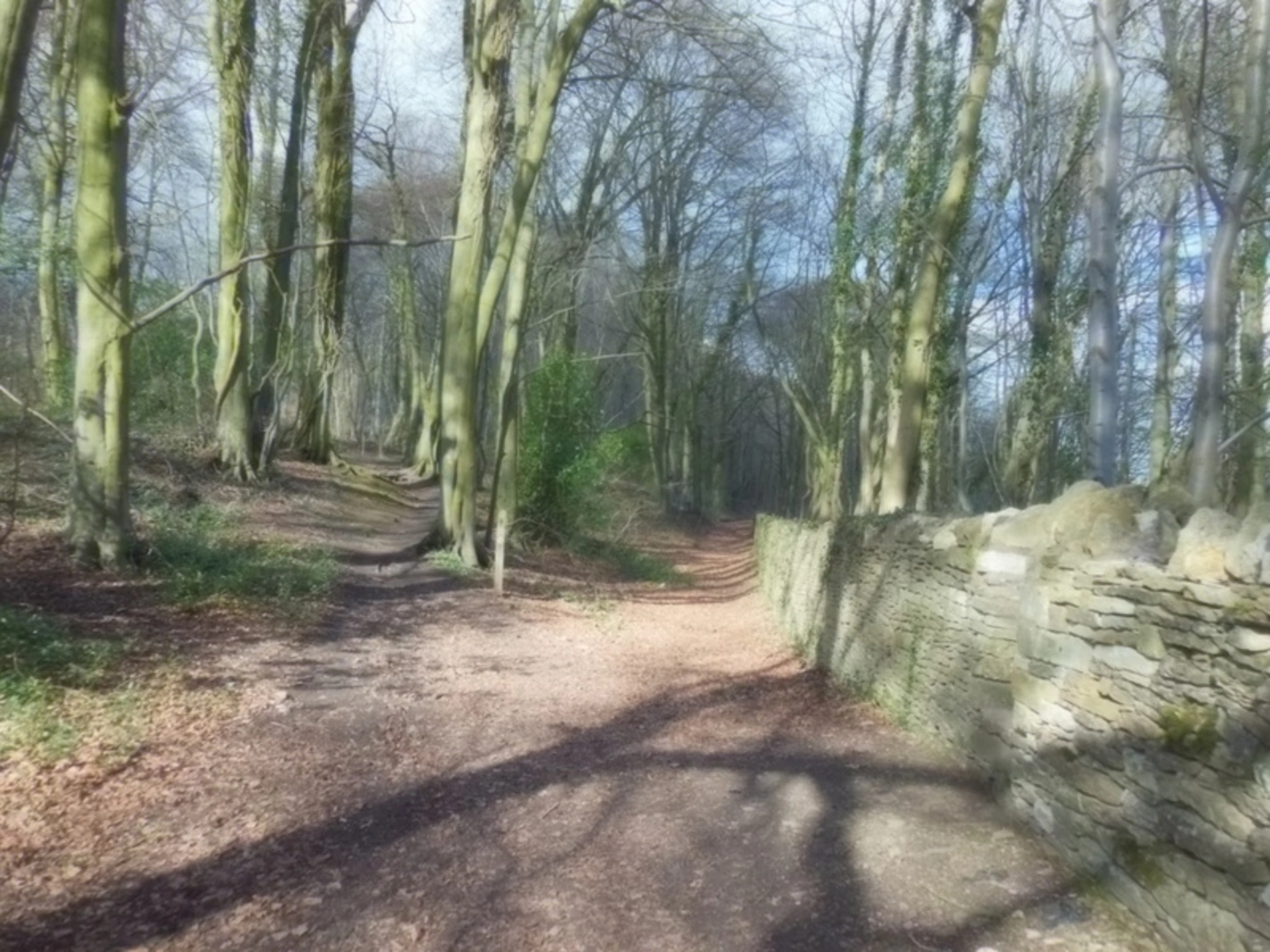 An image depicting the trail Painswick Golf Course Walk and its surrounding area.