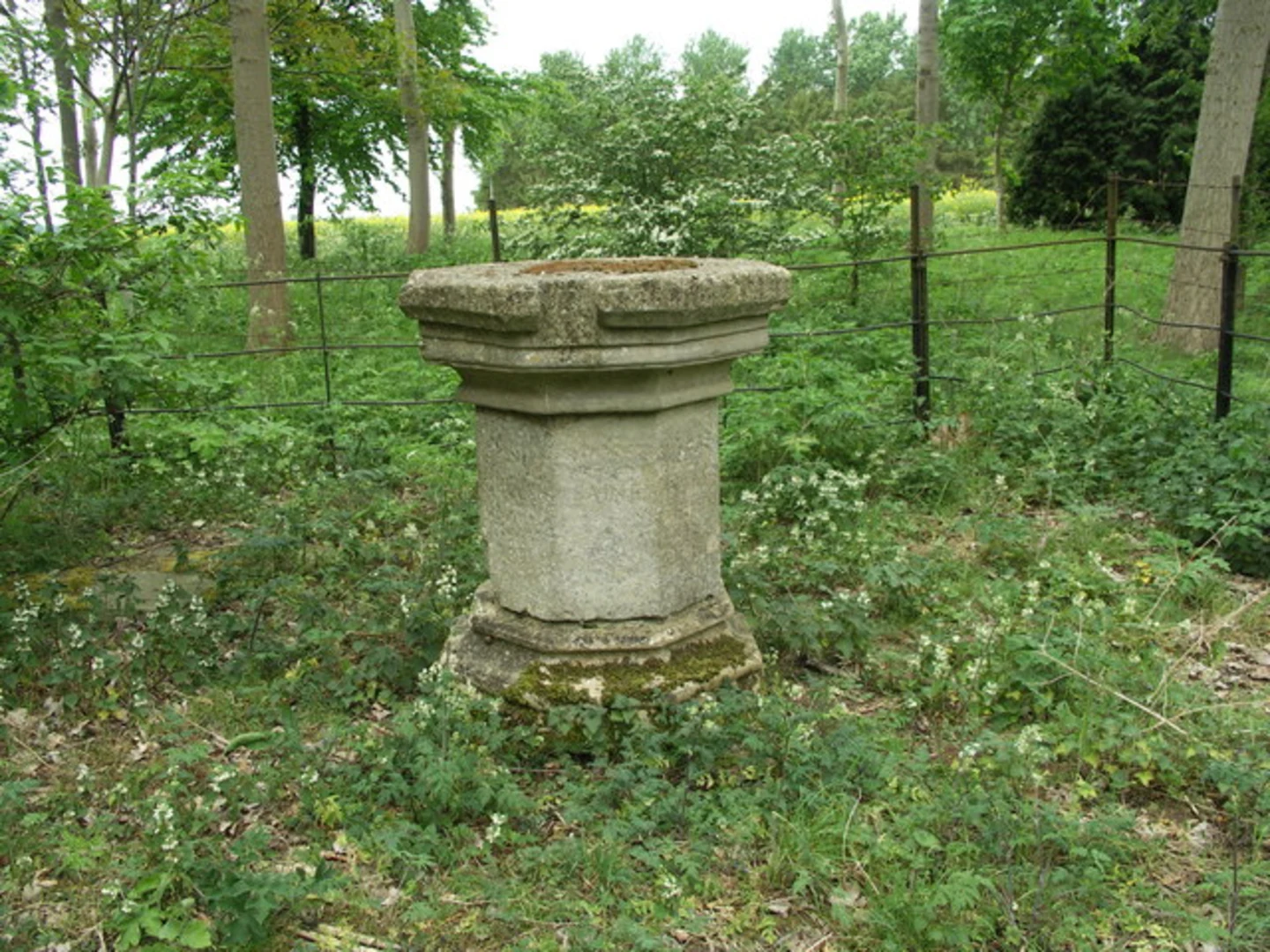 An image depicting the trail Lamport, Scaldwell and Old Loop and its surrounding area.