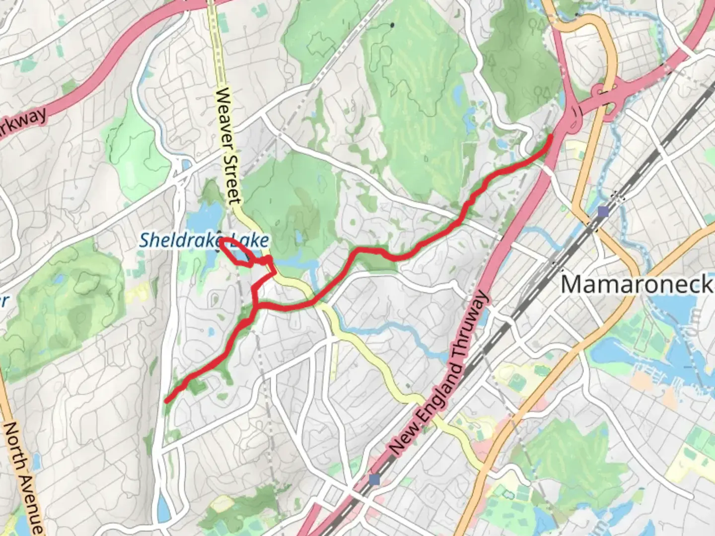 An image depicting the trail Sheldrake Lake and its surrounding area.