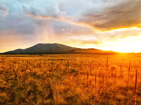 An image depicting the trail Bull Basin Trail and its surrounding area.