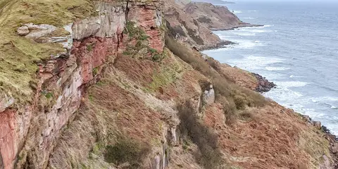 An image depicting the trail Berwickshire Coastal Path and its surrounding area.