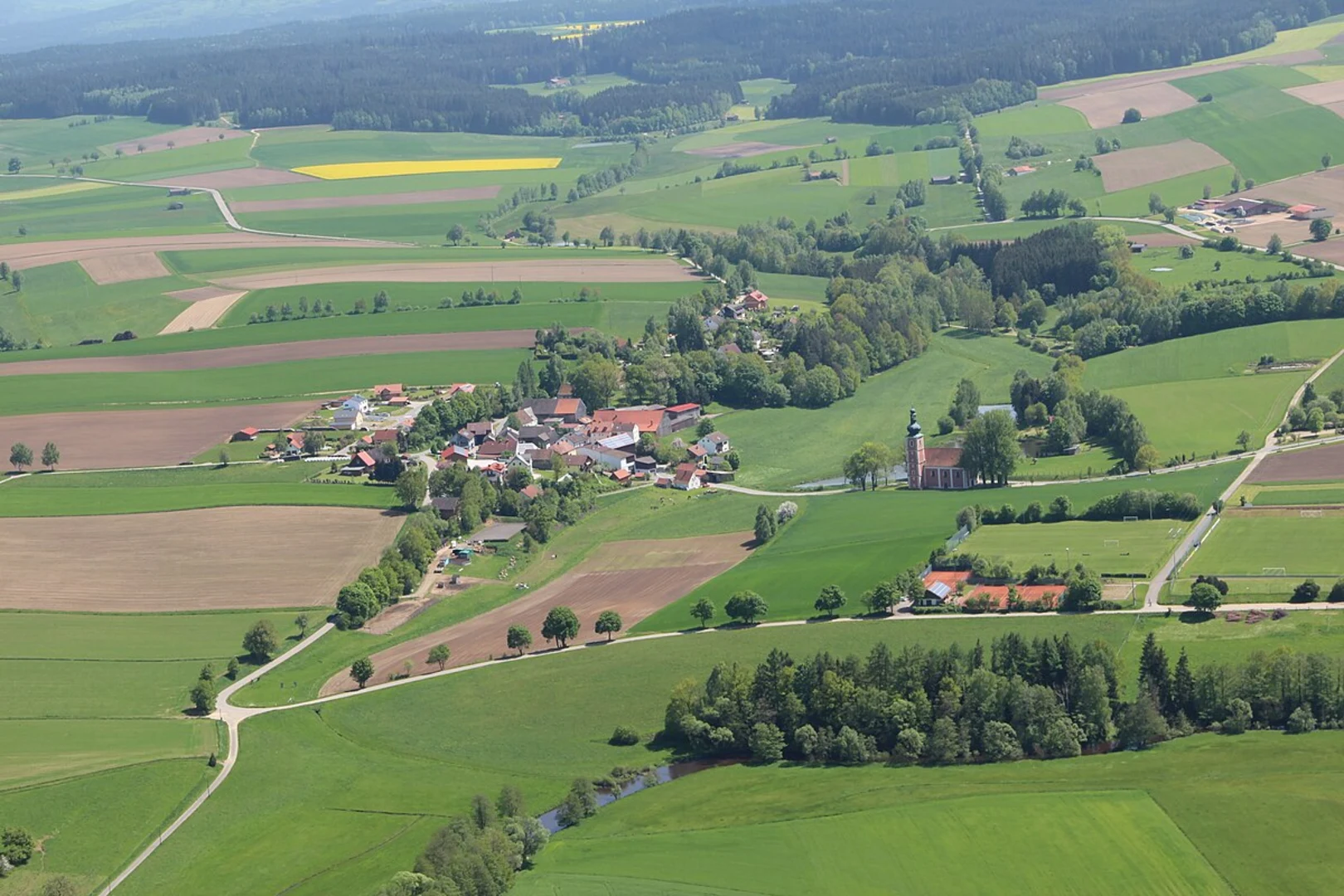An image depicting the trail Moosbach and Schierlingswiese Loop and its surrounding area.