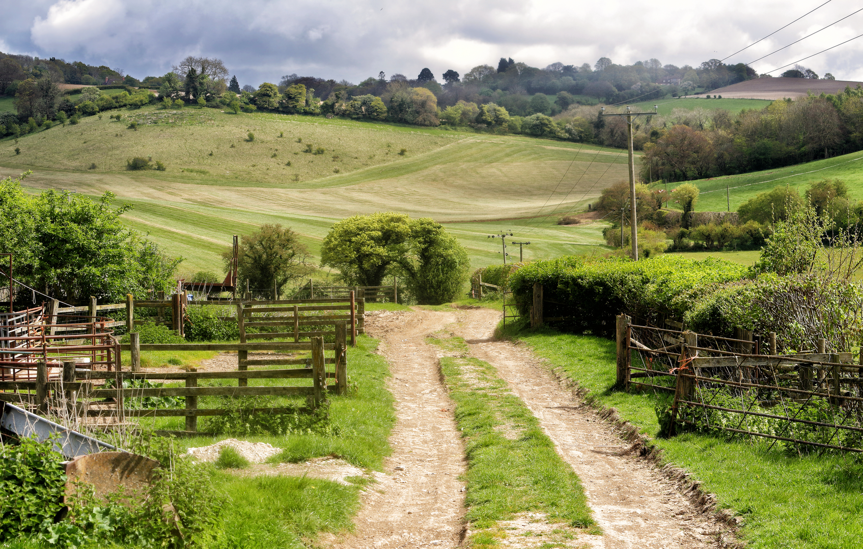 An image depicting the trail Sharpenhoe Clappers to Peter's Green via Chiltern Way and its surrounding area.