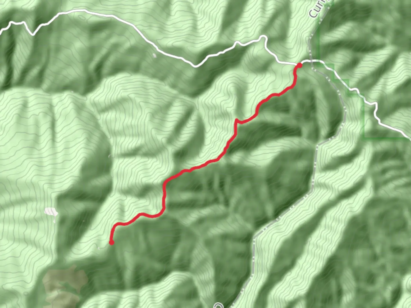 An image depicting the trail Bearcamp Ridge Trail and its surrounding area.