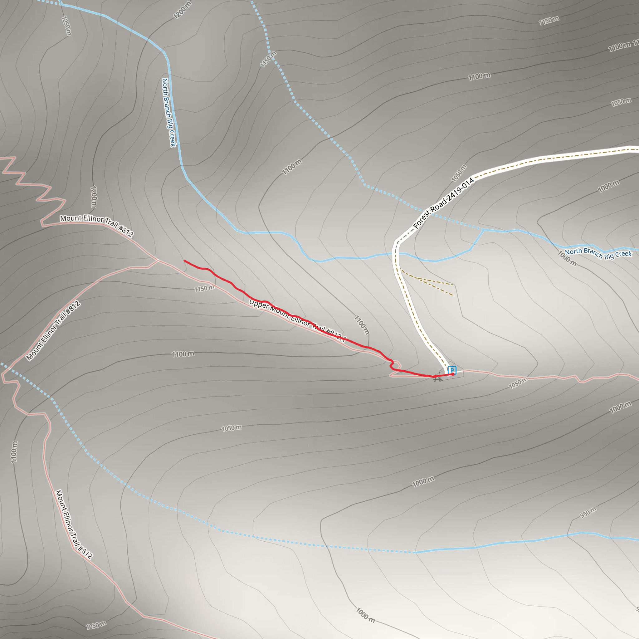 Upper Mt Ellinor Trail mobile static map