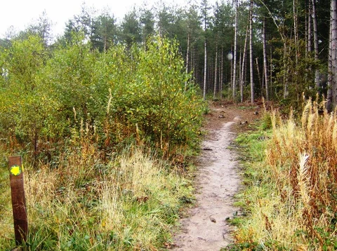 Norton to Cowes Walk