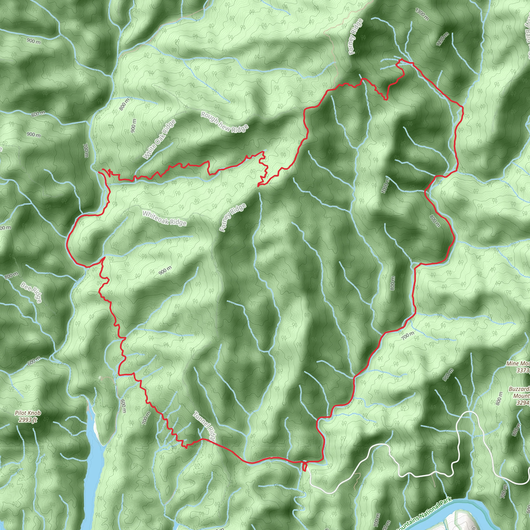 Springhouse Branch, Whiteoak Branch and BMT Loop Trail mobile static map