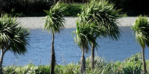 An image depicting the trail Hutt River Trail - Ewen Bridge to Petone and its surrounding area.