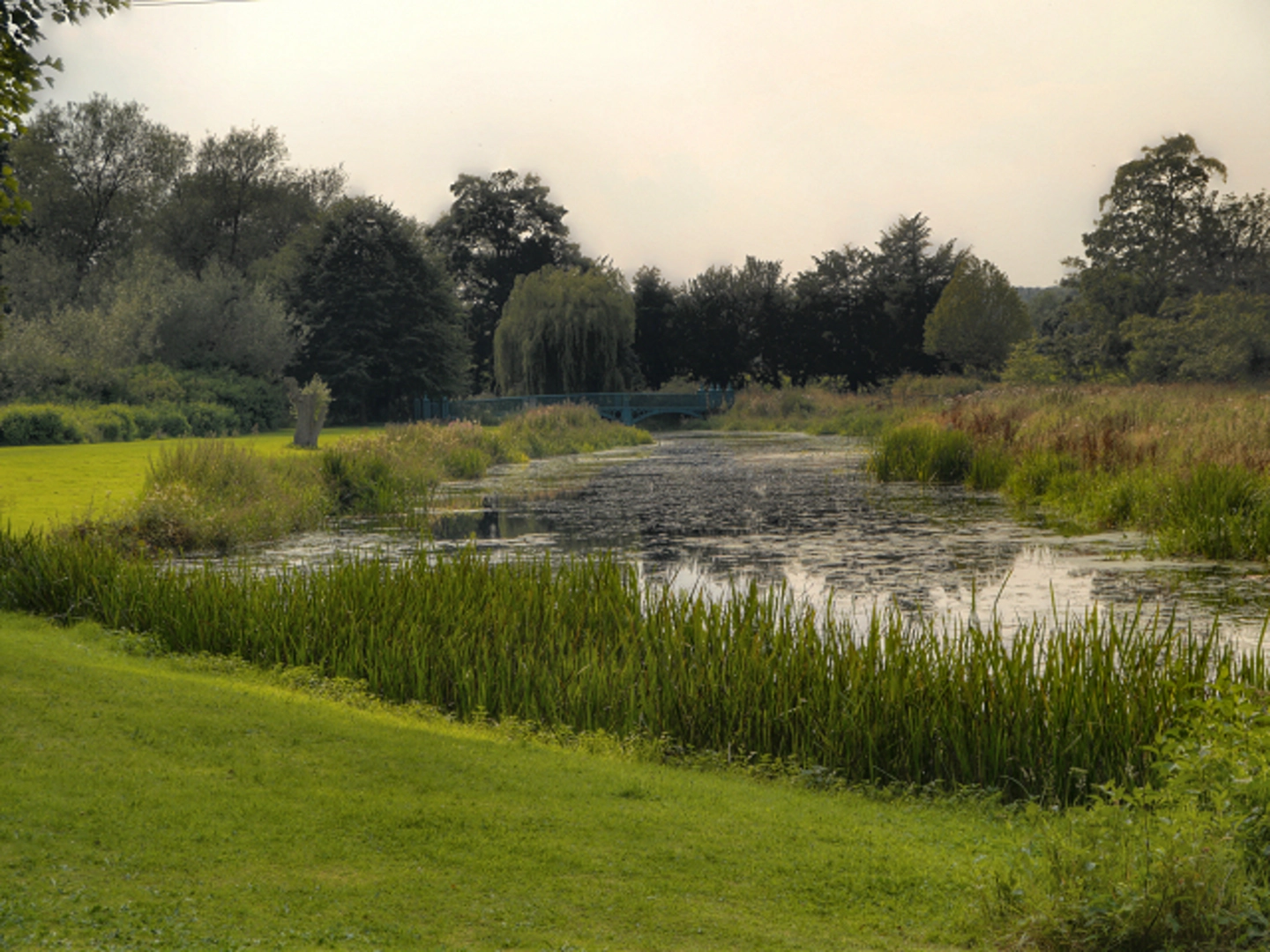 An image depicting the trail Shugborough Park and Shugborough Hall Loop and its surrounding area.