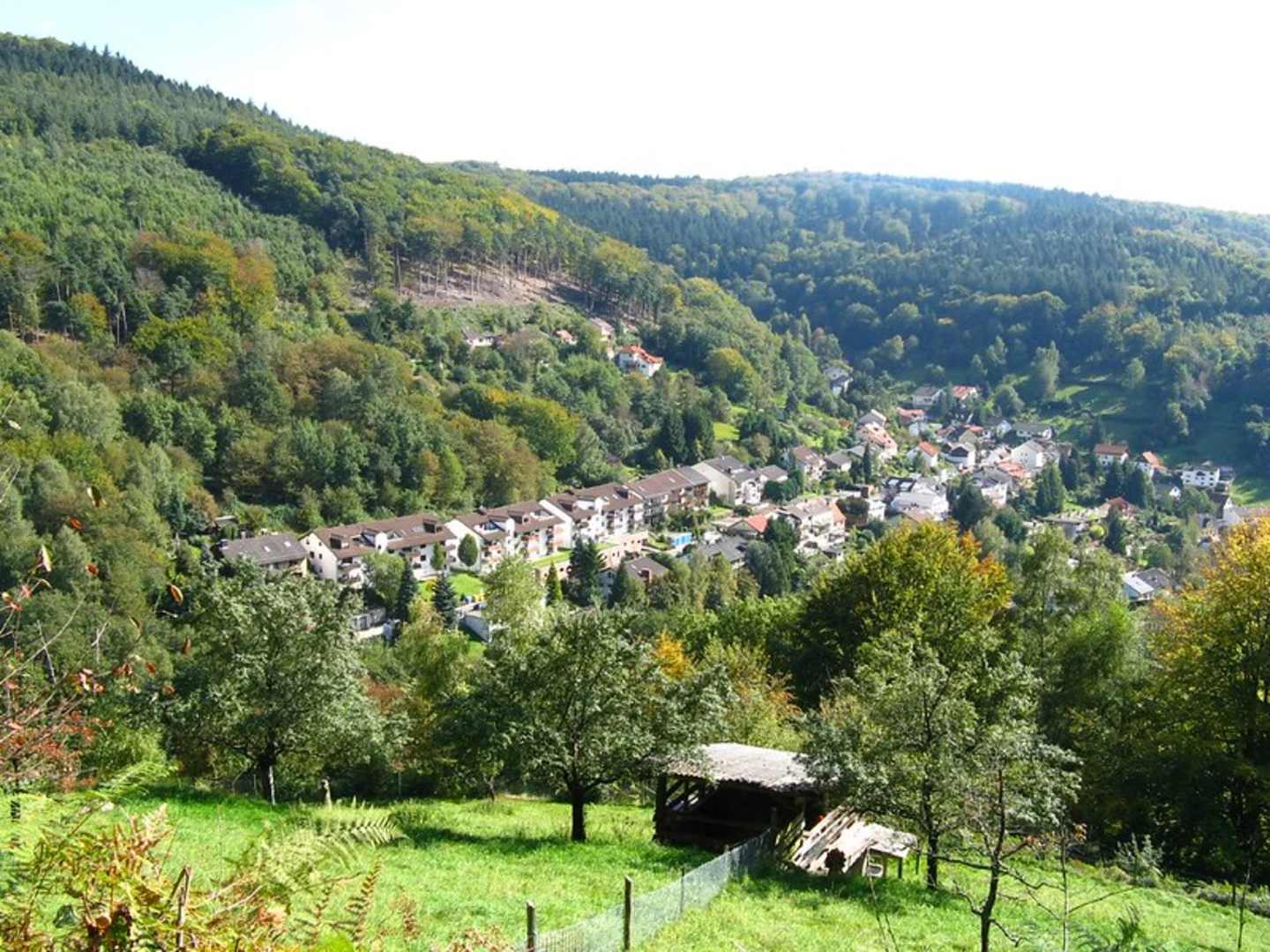 An image depicting the trail Unterer Apfelskopfv and Ziegelhausen and its surrounding area.