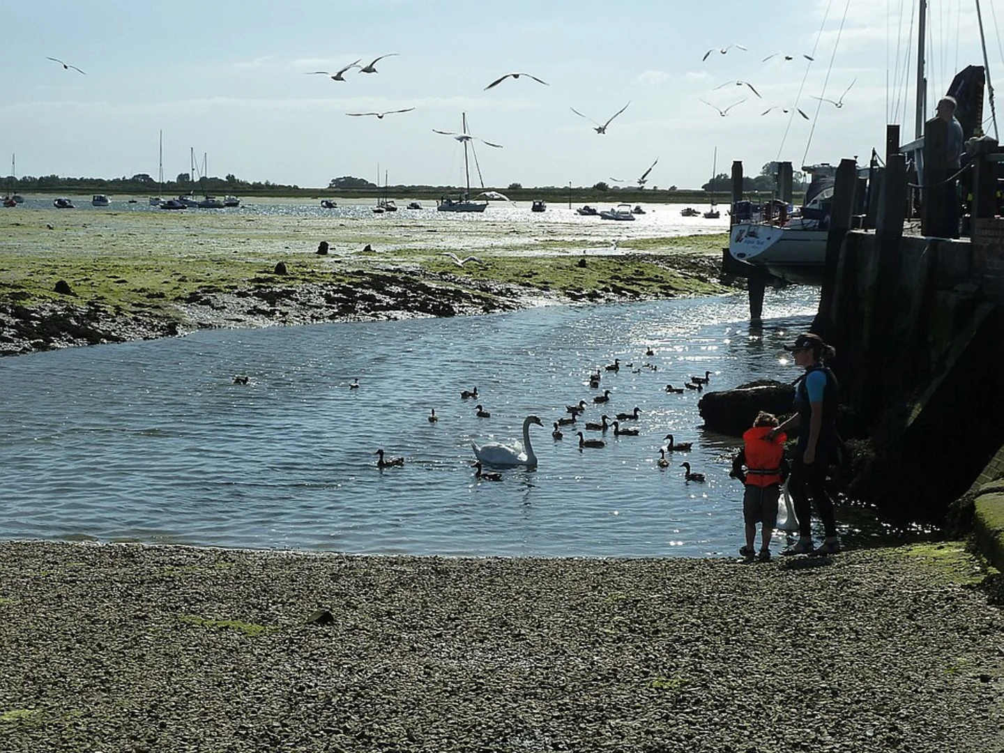 An image depicting the trail Bosham Circular Walk and its surrounding area.