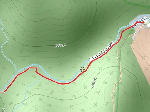 Cougal Cascades Track
