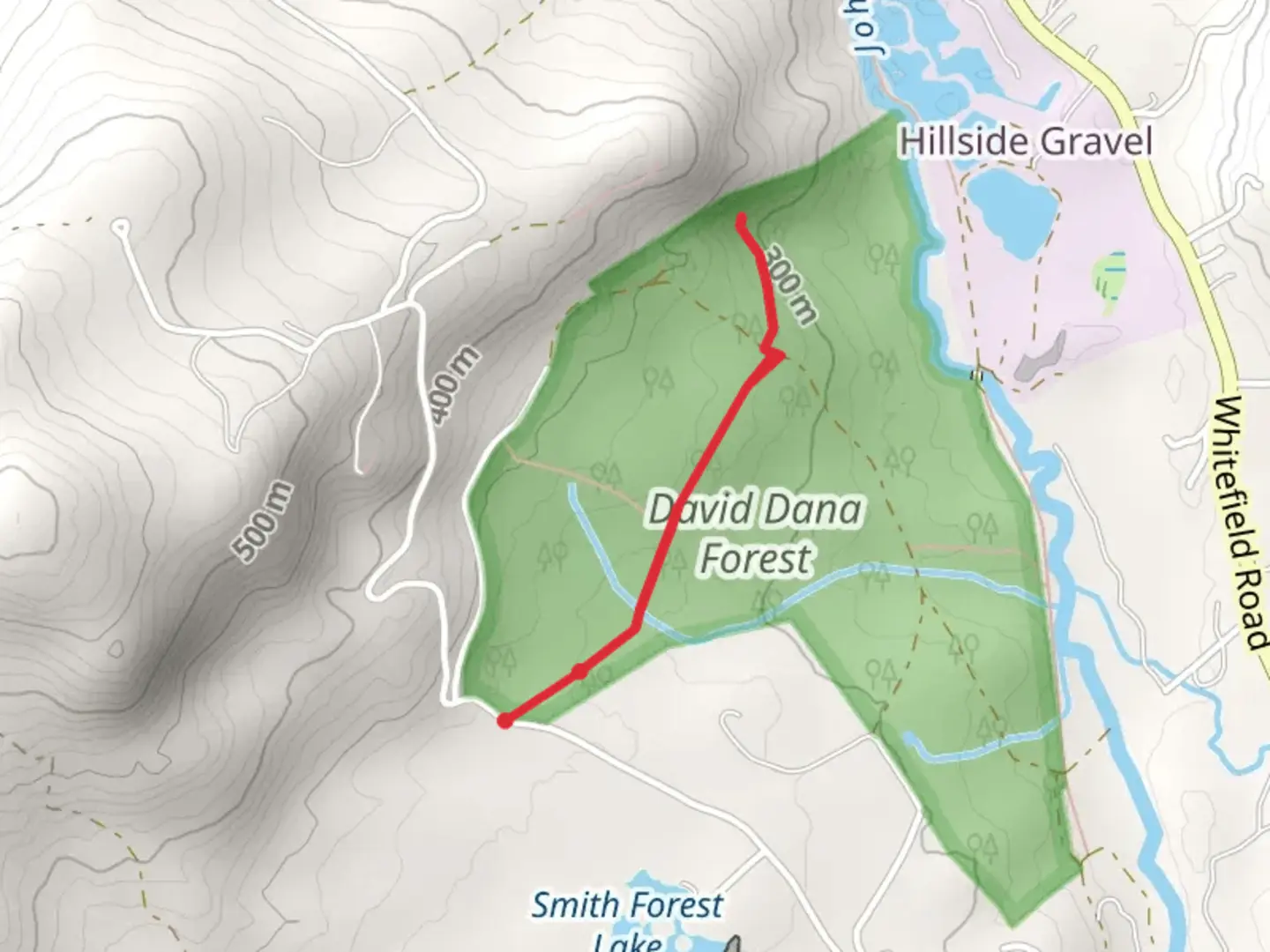 An image depicting the trail David Dana Forest from Ridge Road and its surrounding area.