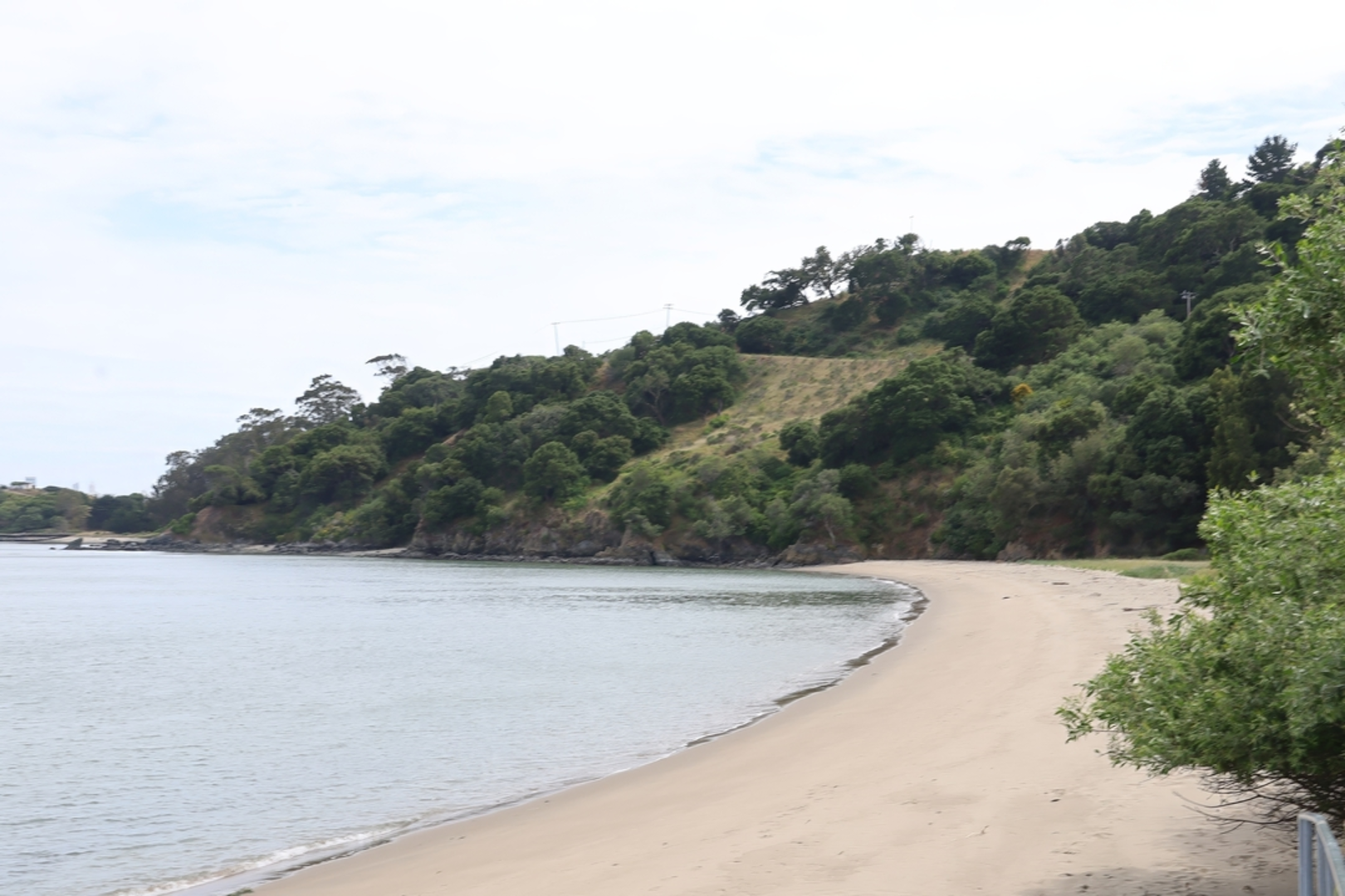 An image depicting the trail Mount Caroline Livermore via Sunset and North Ridge Loop Trail and its surrounding area.