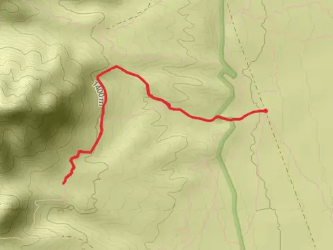 Coyote Ugly and Sotol Forest Out and Back