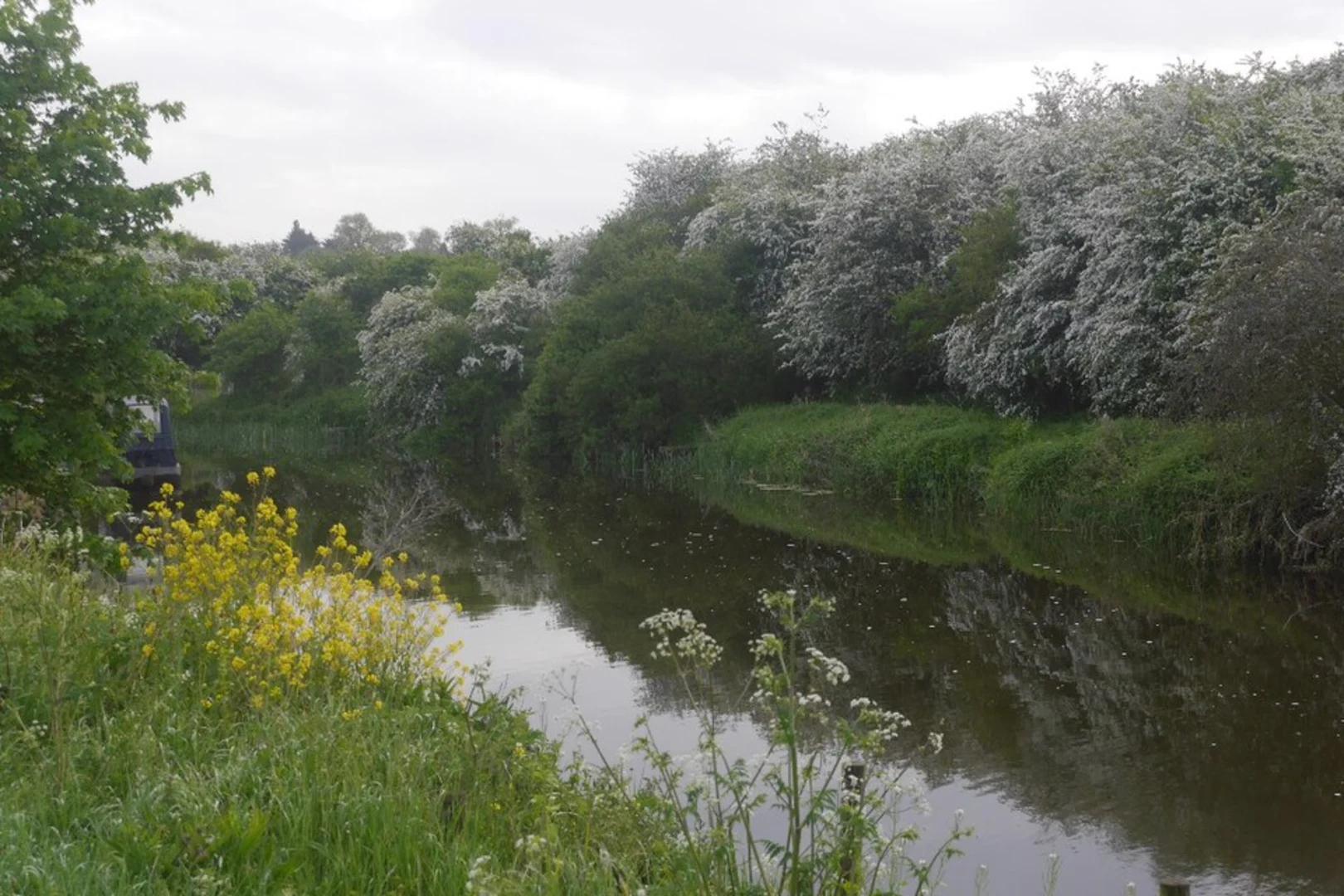 An image depicting the trail Stibbington Loop via River Nene and its surrounding area.