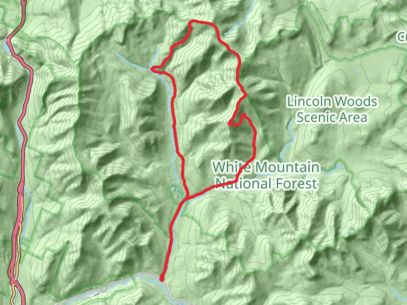 Franconia Brook and Twin Brook Loop Trail