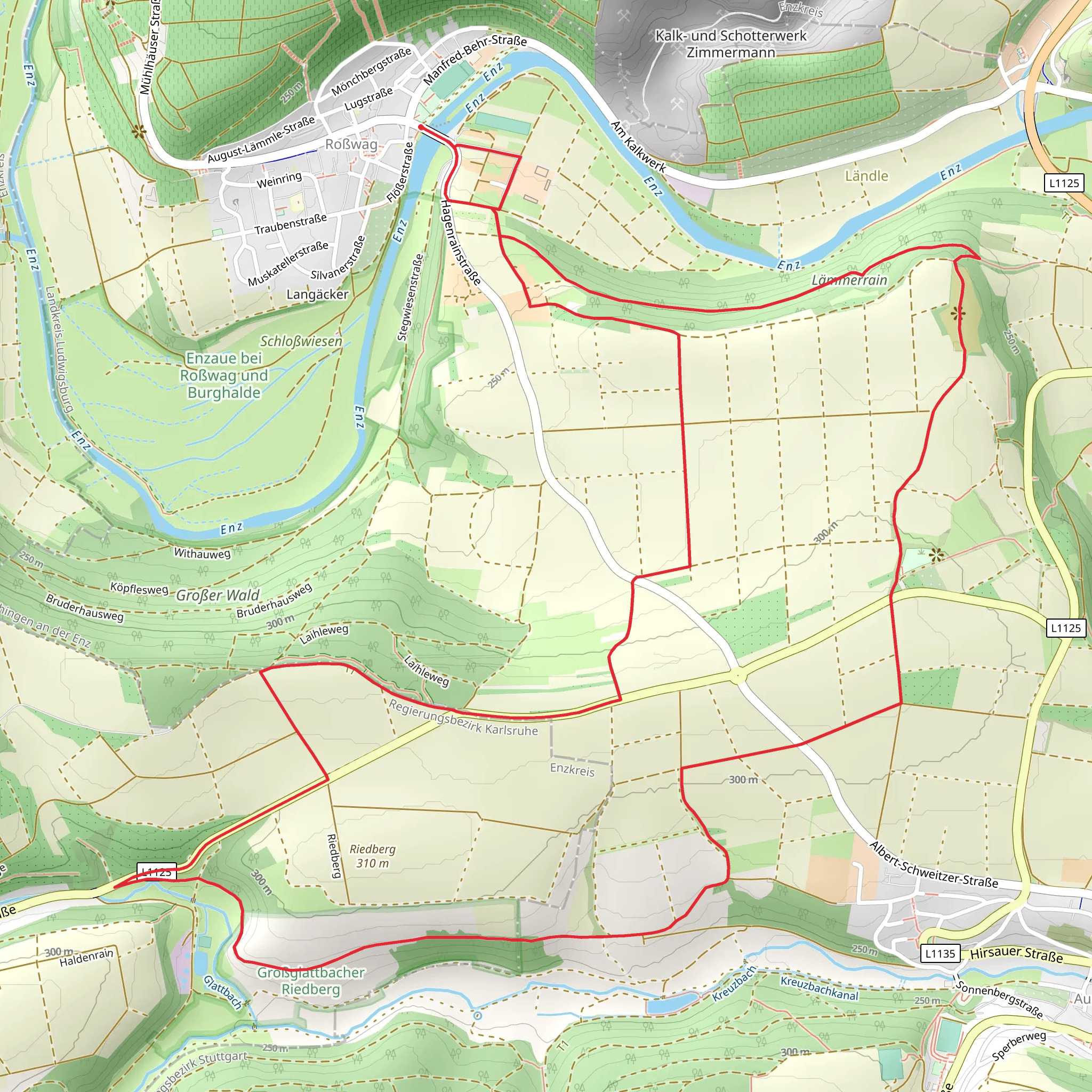 Riedberg Rundweg Loop mobile static map