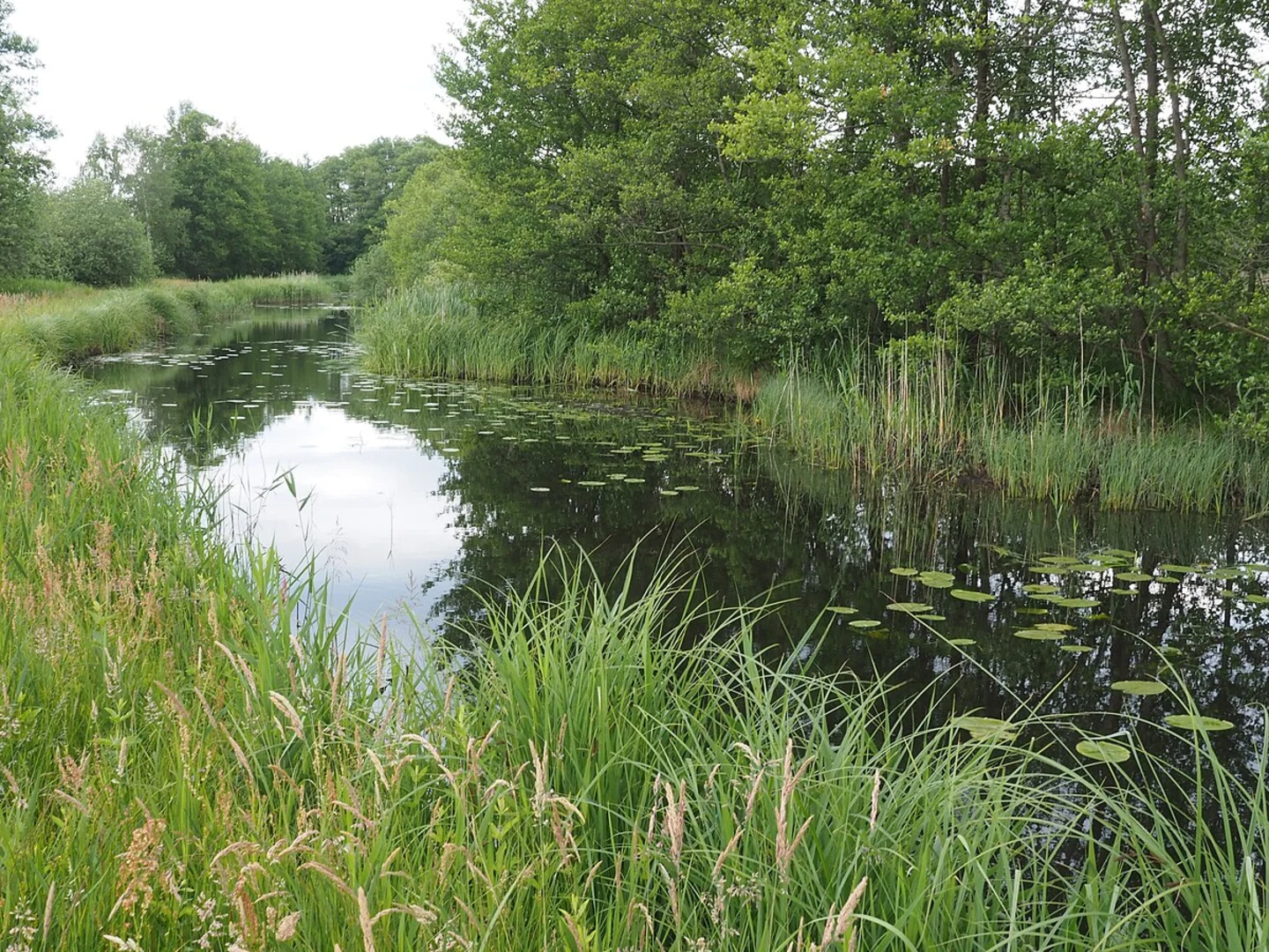 An image depicting the trail Lac and Fontaenenteich and Entenfang Loop via Rundweg Wasserkuenste and Schlosspark Rundweg and its surrounding area.
