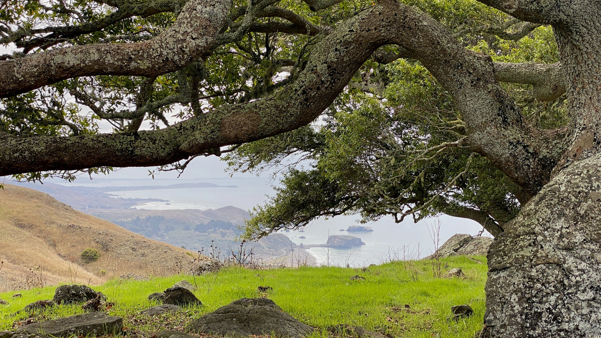 An image depicting the trail Sea to Sky Trail and Jenner Headlands Preserve Loop and its surrounding area.