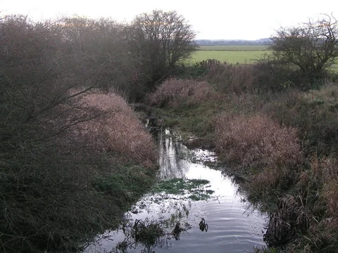 Lake in Girton Country Park