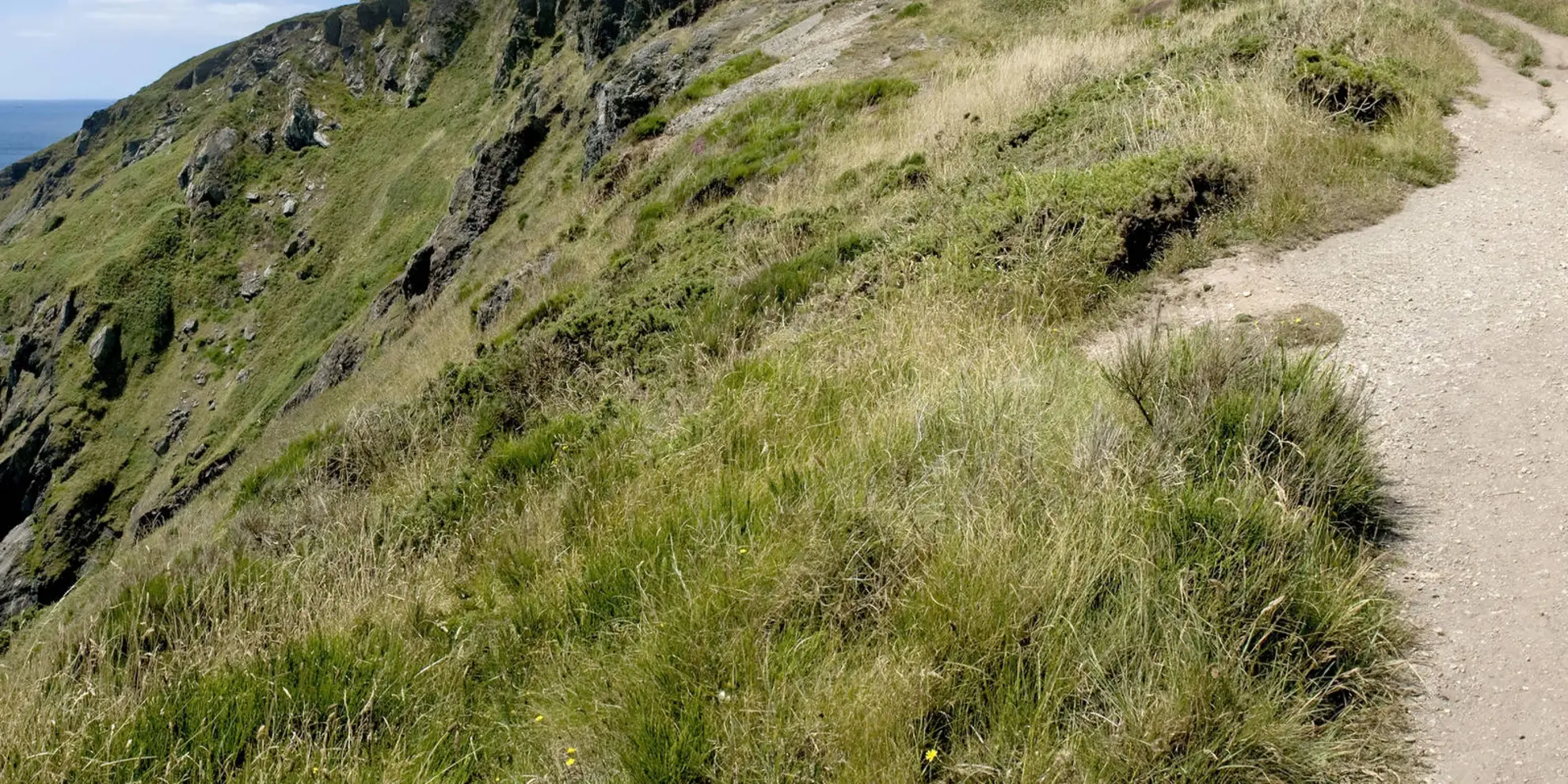 An image depicting the trail Bolberry Down and Soar Mill Cove Walk and its surrounding area.