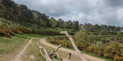 An image depicting the trail Haslemere Circular Walk and its surrounding area.