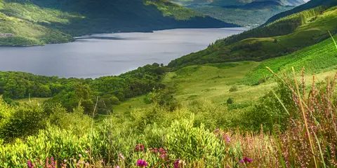 An image depicting the trail Ben Lomond from Loch Lomond and its surrounding area.