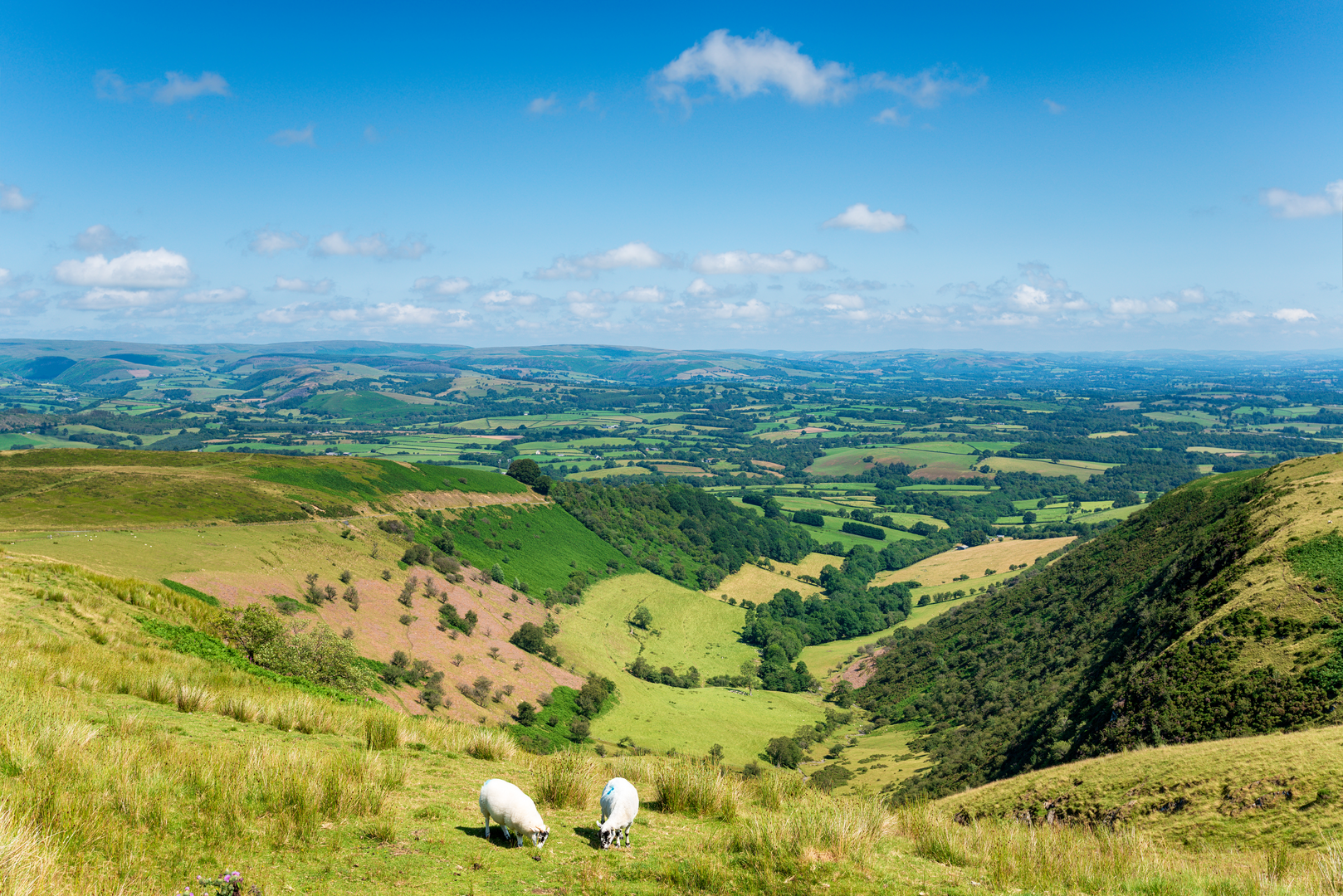An image depicting the trail Pont Llogel to Llangynog in Powys and its surrounding area.
