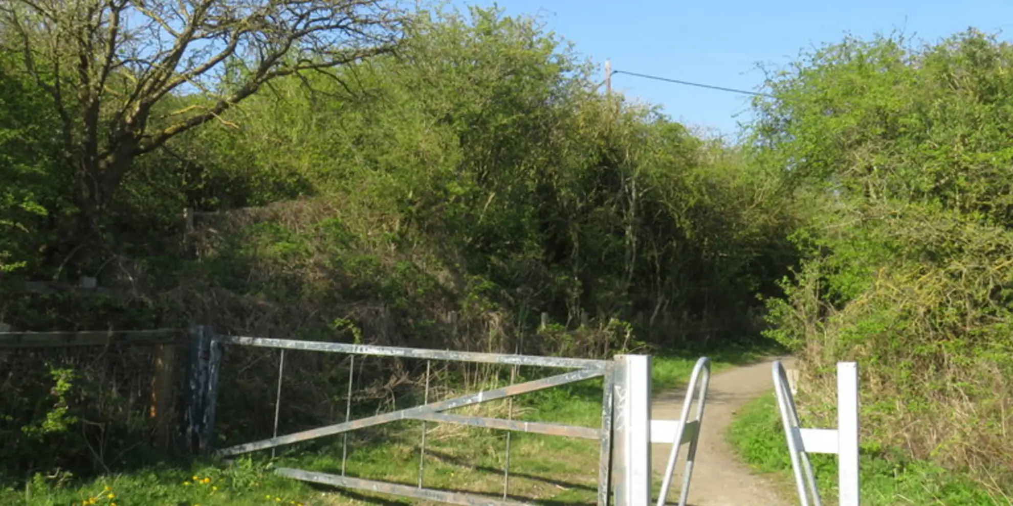 An image depicting the trail Stephenson Trail and its surrounding area.