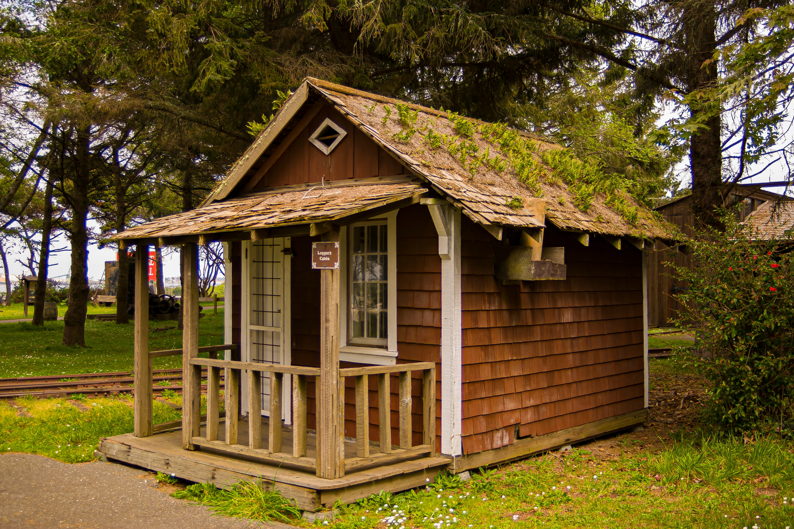 An image depicting the trail Fort Humboldt State Historic Park Loop and its surrounding area.