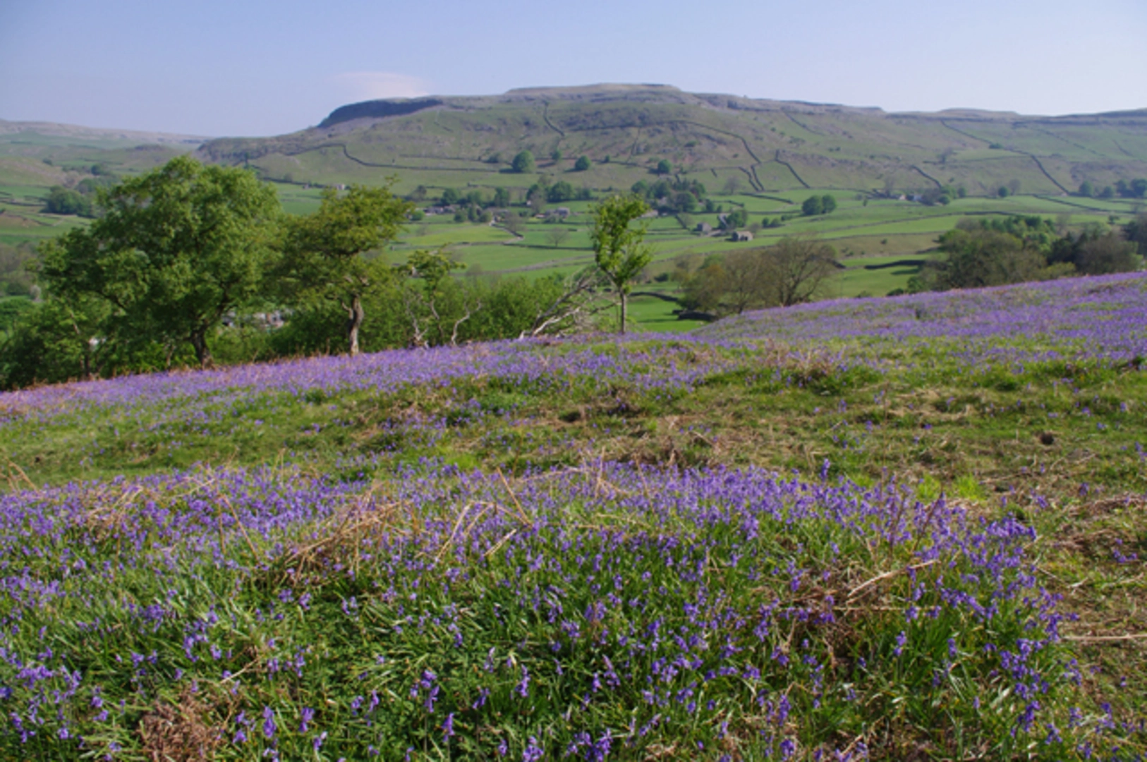 An image depicting the trail Oxenber Wood and Feizor Wood Loop and its surrounding area.