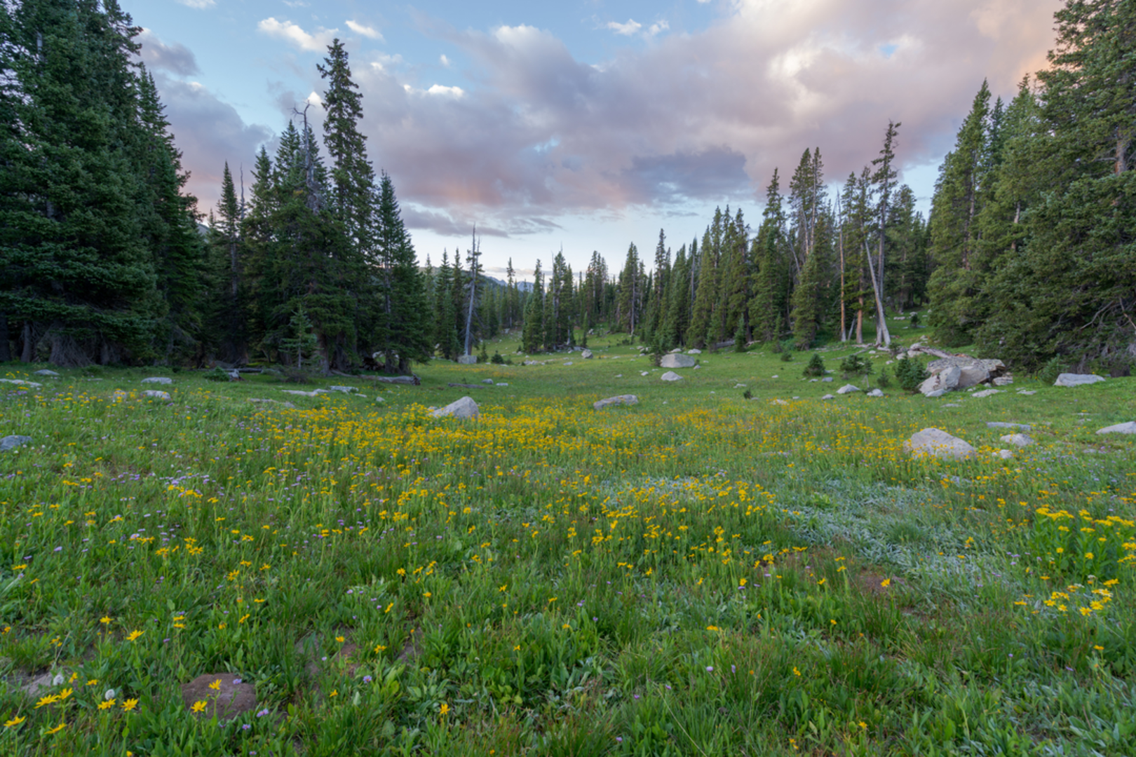 An image depicting the trail Lyle Lake Trail and its surrounding area.