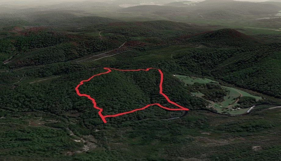 Deep River Loop Walk