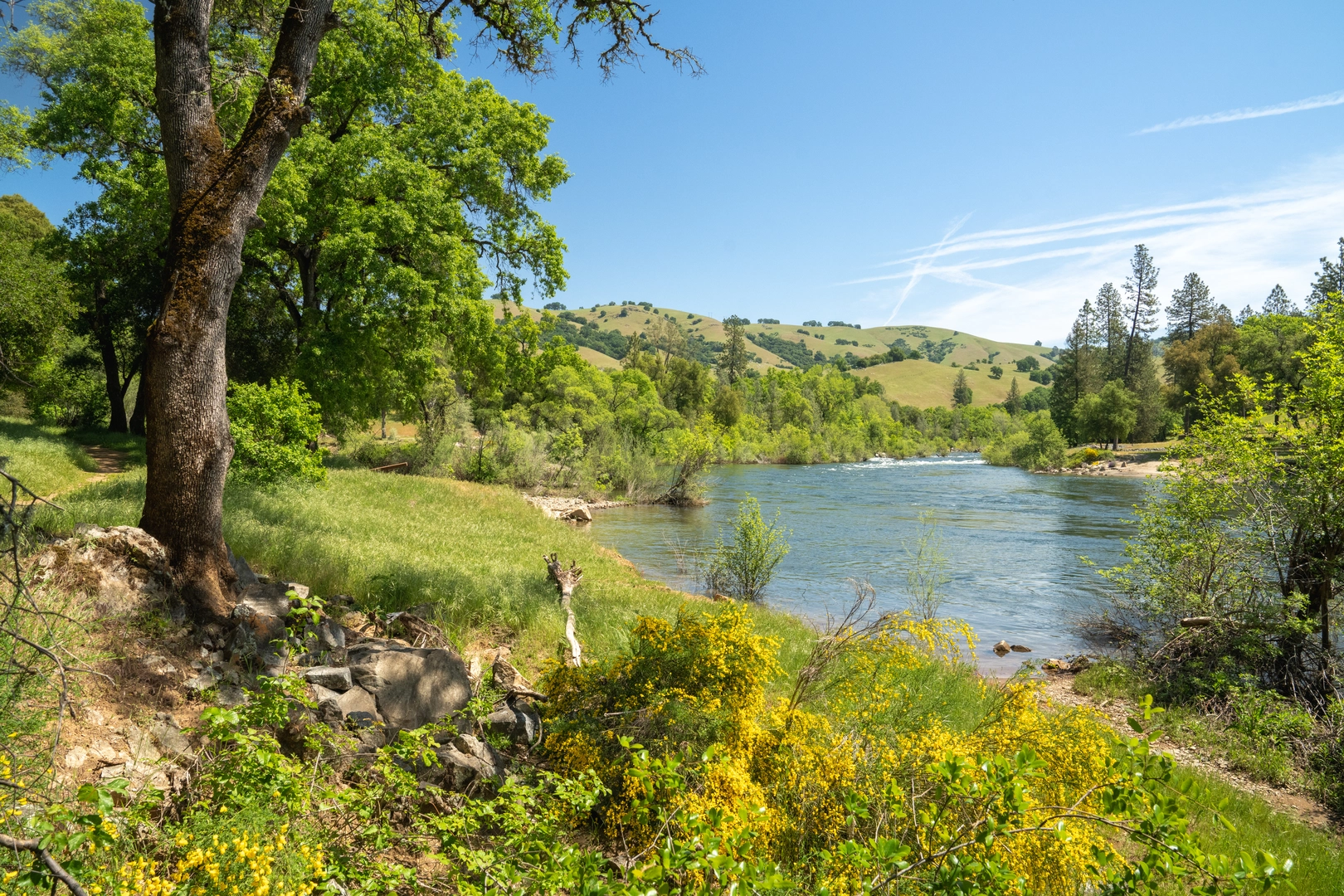 An image depicting the trail South Fork American River via River Trail and its surrounding area.