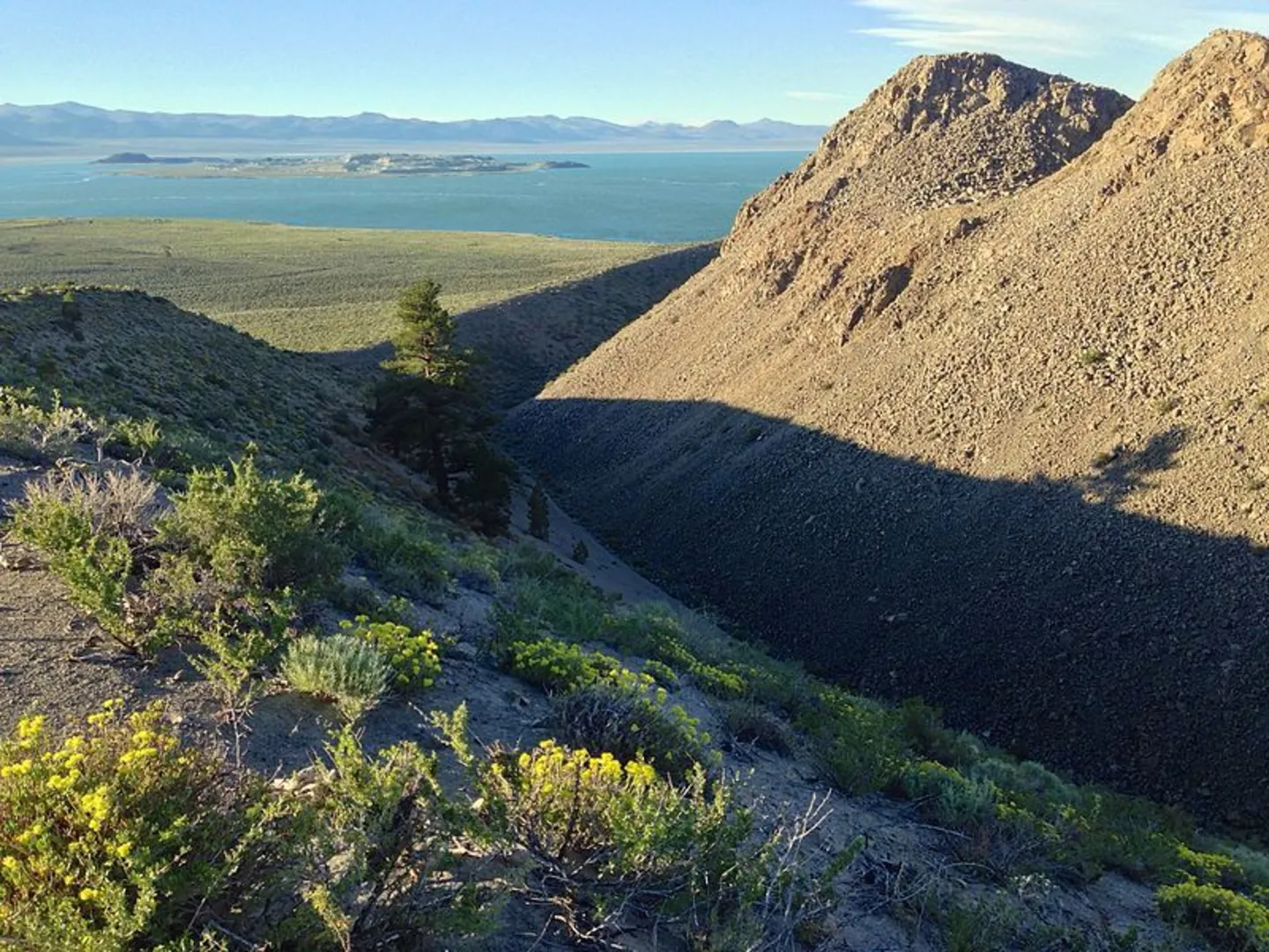 An image depicting the trail Panum Crater - Plug Trail and its surrounding area.