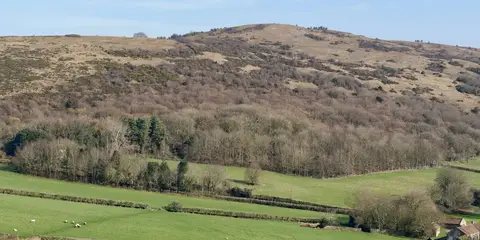 An image depicting the trail Wavering Down and Crook Peak from Kings Wood - Winscombe and its surrounding area.