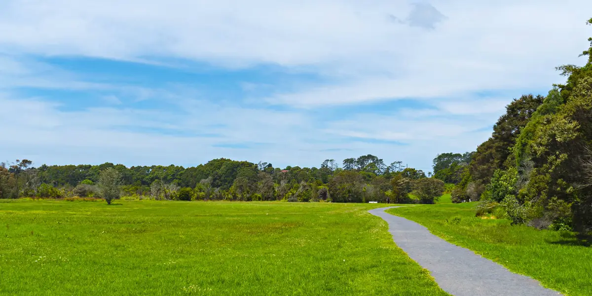 Waiatarua Wetland Walk