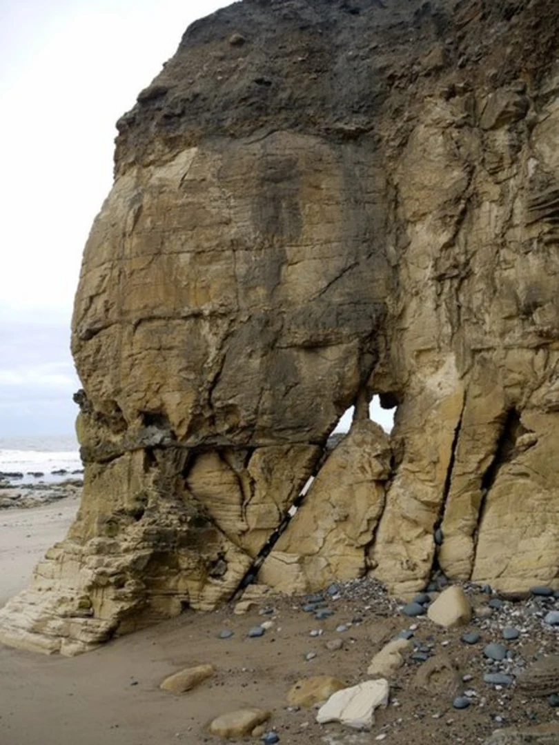 An image depicting the trail Seaham to Sunderland Walk and its surrounding area.