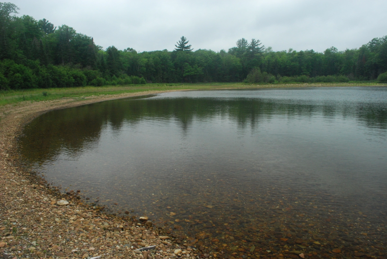 An image depicting the trail Laura Lake Nature Trail and its surrounding area.