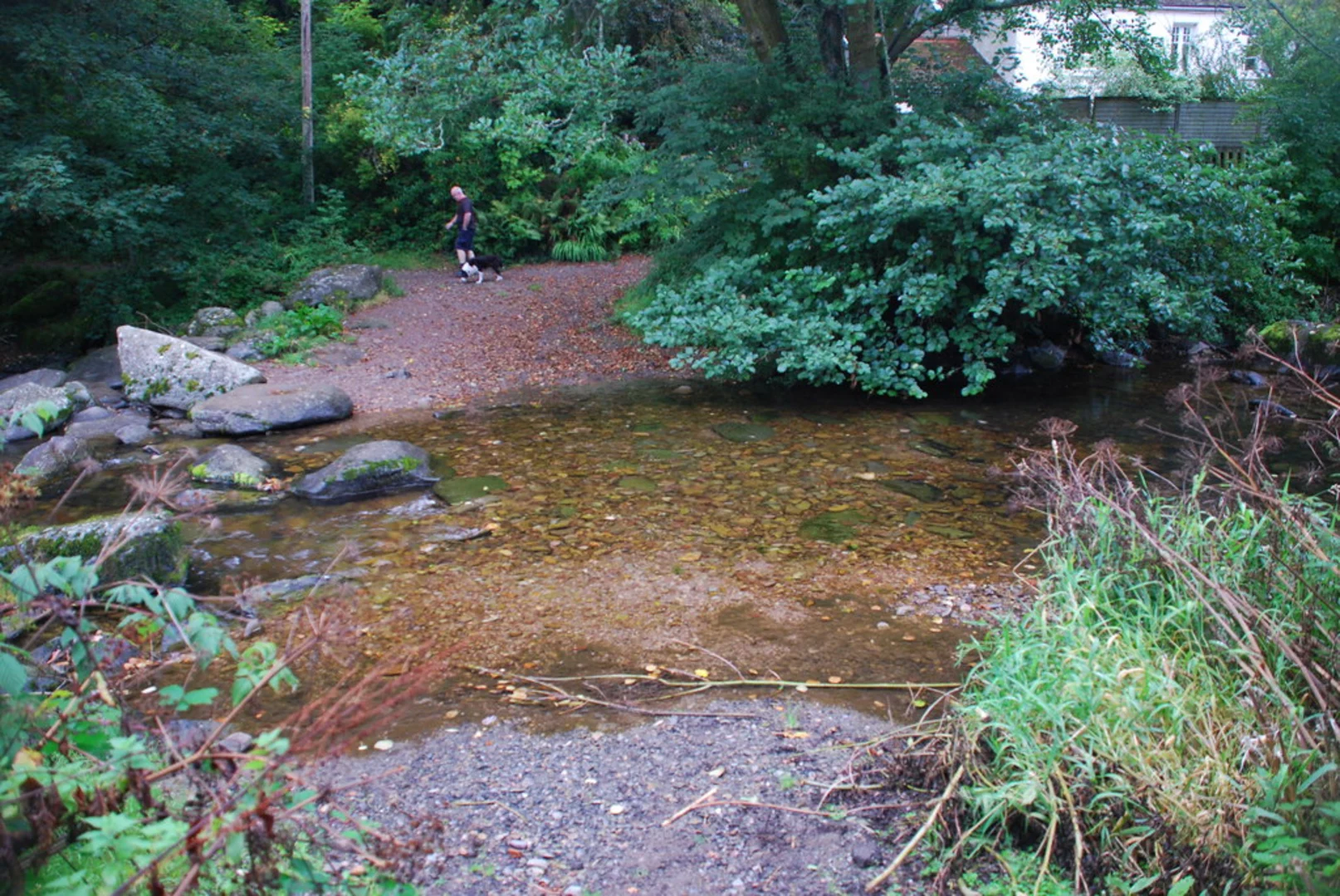 An image depicting the trail National Trust - Watersmeet Loop - Brendon and its surrounding area.